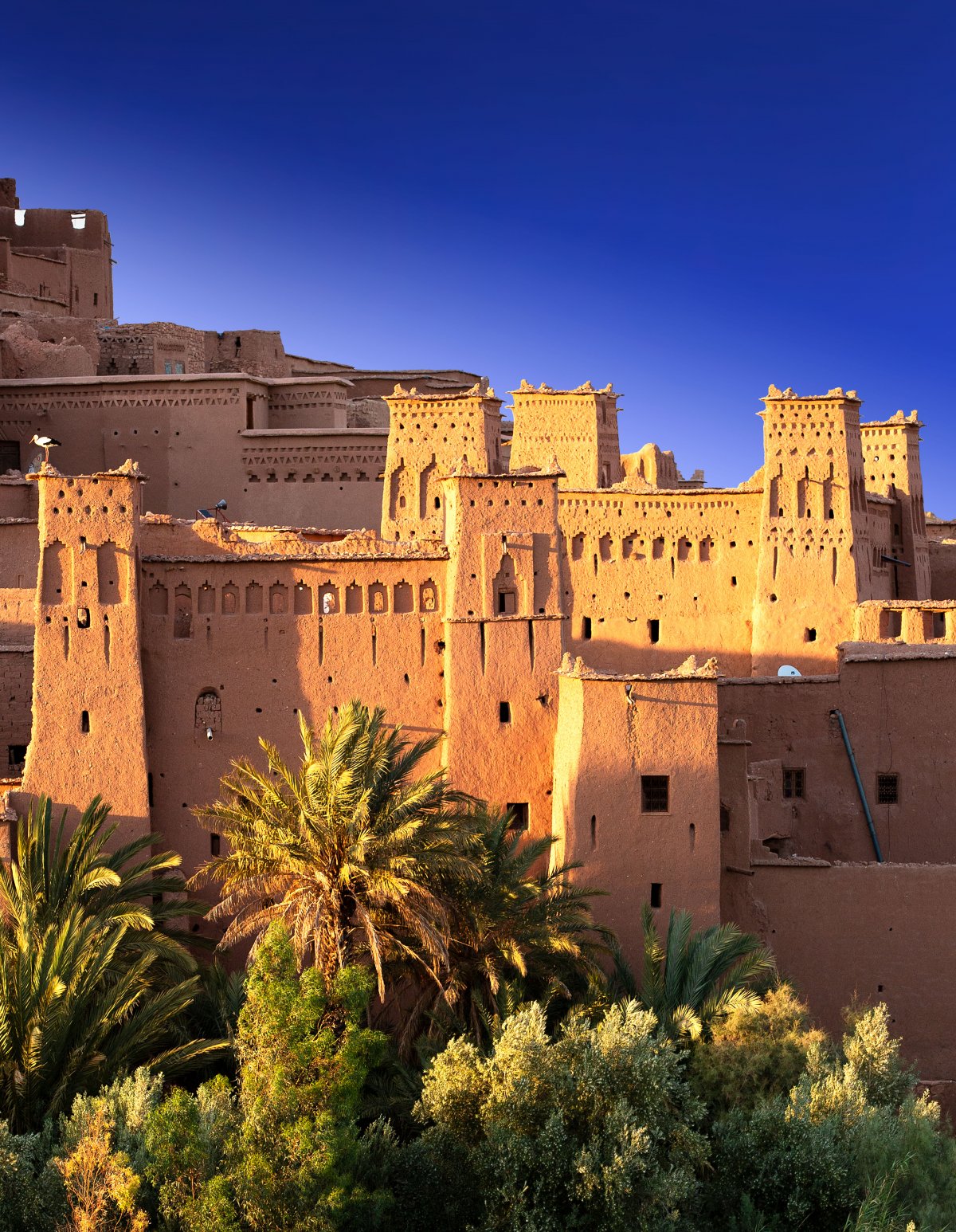 Neuseeland Welt-Dia-Vision Festival